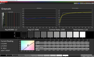 Visualización principal: escalas de grises (modo de color: normal, temperatura de color: estándar, espacio de color de destino: sRGB)