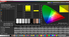 CalMAN ColorChecker calibrado