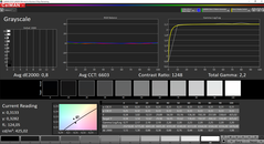 CalMAN: Escala de grises - espacio de color de destino AdobeRGB (calibrado)