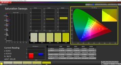 CalMan ColorChecker - Saturación