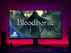 Versión de Bloodborne para PC vista en un monitor de juegos (Fuente de la imagen: Sony PlayStation con ediciones)