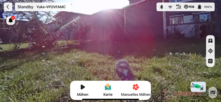 Vídeo en directo en la aplicación Mammotion