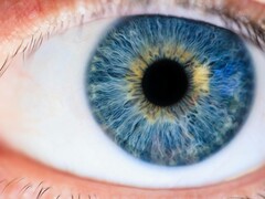 Mediante la estimulación del cono M con luz láser, los investigadores han conseguido hacer visible el color 