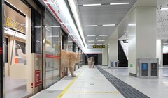 Un gato apeándose del tren (Fuente de la imagen: Xing&#039;s World vía YouTube; captura de pantalla)