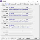 Información del sistema: CPU-Z cache