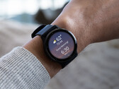 Garmin aún no ha indicado cuándo alcanzarán el estado estable las actualizaciones de la v11. (Fuente de la imagen: Garmin)