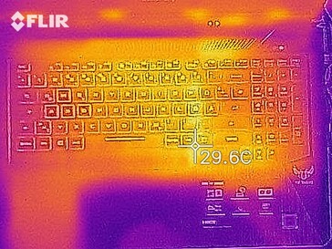 Distribución de calor en reposo (arriba)