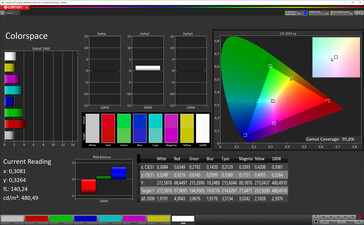 CalMan cobertura del espacio de color (Espacio de color: P3)