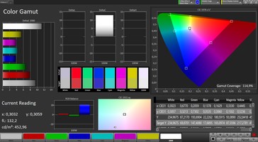 CalMAN: Espacio de color - Amplio perfil de gama de colores, espacio de color de destino AdobeRGB