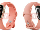 The Google Fitbit Edge