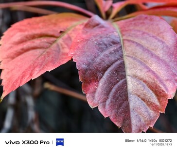 Vivo X300 Pro: Muestra fotográfica