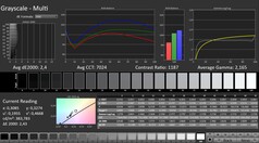 CalMAN: Escala de grises