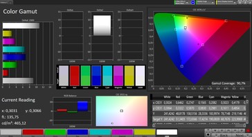 CalMAN: Espacio de color - Perfil estándar, espacio de color de destino sRGB