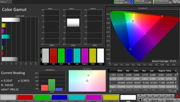 Espacio de color CalMAN sRGB - pantalla de portada, natural