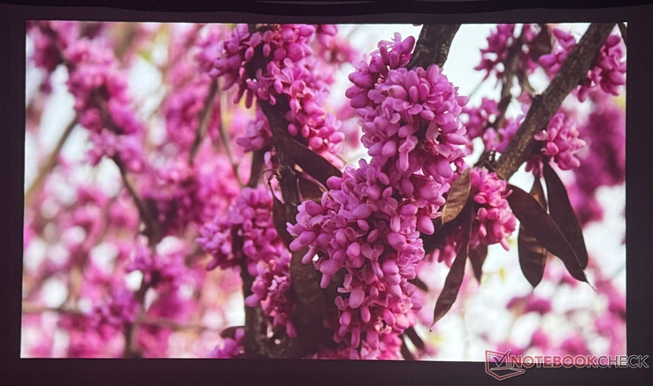 Calidad de imagen Nebulosa P1 en una habitación oscura (Fuente de la imagen: Pexels)