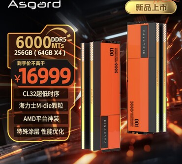 El kit de 256 GB DDR5-6000, por su parte, cuesta la friolera de 2.400 dólares. (Fuente de la imagen: JD.com)