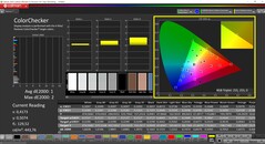 Calman ColorChecker (Perfil: sRGB, Espacio de color de destino: sRGB)
