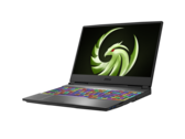 La nueva línea Alpha incluye modelos de 17 pulgadas con pantallas IPS FHD de 144 Hz. (Fuente de la imagen: MSI)