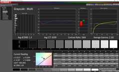 Escala de grises después de la calibración (pantalla principal)