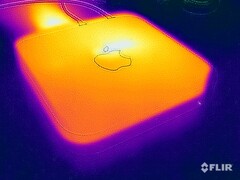 Temperaturas de la superficie en la prueba de esfuerzo después de 1 hora: máximo ~37 °C en la cara superior