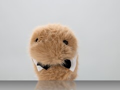 Dieter (Fuente de la imagen: ZKM Karlsruhe)