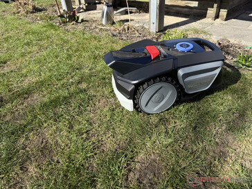 ...y luego gira en un ángulo aleatorio