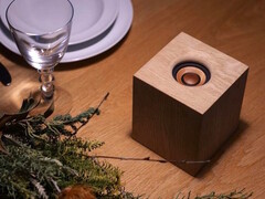 El altavoz inalámbrico JVCKenwood WDS-01 utiliza madera para la carcasa y el transductor. (Fuente de la imagen: JVCKenwood)