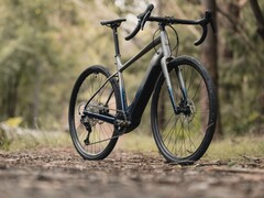 La Marin Bikes Lombard E incorpora un motor Bosch SX Spring (Fuente de la imagen: Marin Bikes)