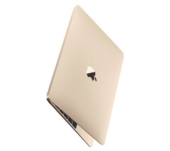 Aún no hay pruebas concretas que sugieran que se esté desarrollando un nuevo MacBook de 12 pulgadas. (Fuente de la imagen: Apple)