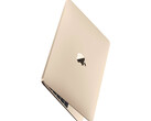 Aún no hay pruebas concretas que sugieran que se esté desarrollando un nuevo MacBook de 12 pulgadas. (Fuente de la imagen: Apple)