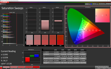 CalMAN: Saturación de color - espacio de color de destino sRGB