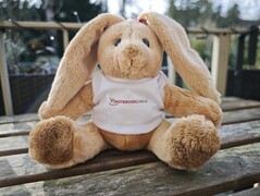 Xiaomi 15 Ultra: Foto de muestra