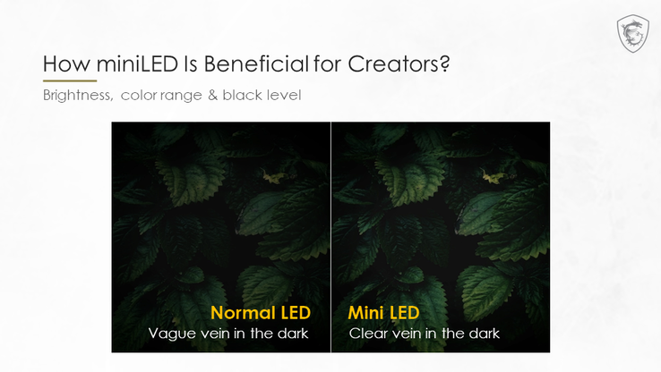 El oscurecimiento local Mini-LED ayuda a resolver las venas de las hojas en las zonas oscuras. (Fuente de la imagen: MSI)