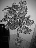 Cámara de visión nocturna