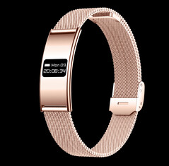 (Fuente de la imagen: Rogbid)