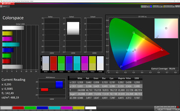 CalMan Espacio de color (espacio de color sRGB)