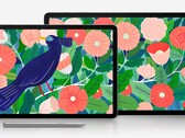 La Galaxy Tab S7 vendrá en dos tamaños. (Fuente de la imagen: @evleaks)