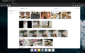 Opciones de búsqueda basadas en IA
