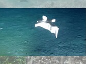 Una imagen del robot en el fondo del océano (Fuente de la imagen: el equipo de investigación; editado)