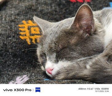 Vivo X300 Pro 400 mm con teleconvertidor.