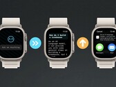 Ya es posible utilizar ChatGPT en un Apple Watch. (Fuente de la imagen: Hidde van der Ploeg)