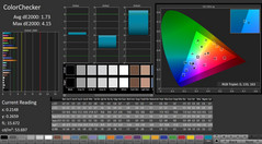 CalMAN: ColorChecker (calibrado)