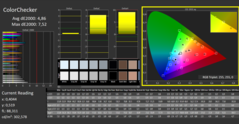 CalMAN - Color Checker