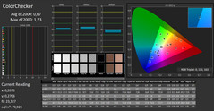 CalMAN: ColorChecker (calibrado)