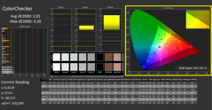 CalMAN - ColorChecker (calibrated)