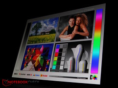 El panel OLED...