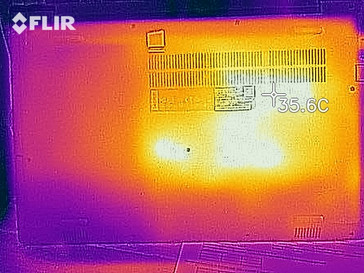 La distribución del calor en la parte inferior (en reposo)