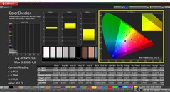 CalMAN ColorChecker (perfil: Pantalla P3, espacio de color de destino P3)