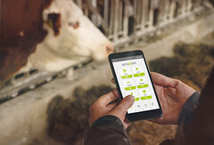 Los sensores IoT, desarrollados por smaXtec, controlan el bienestar interno de los animales de granja. (Imagen: smaXtec)