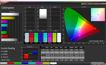 CalMAN: Espacio de color - espacio de color de destino sRGB